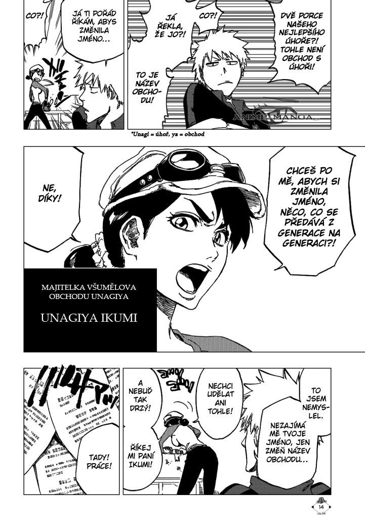 bleach-ch426-14 kopie.jpg